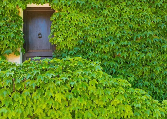 Апартаменты Bardeggiano - Caterina 1 By Interhome *